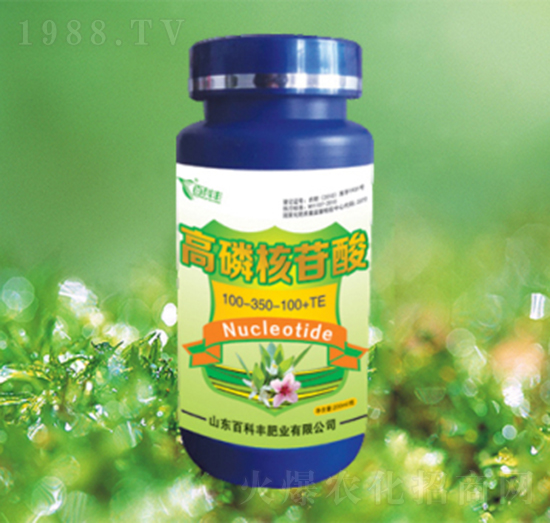 ���׺�����100-300-100+TE-�ٿ��S