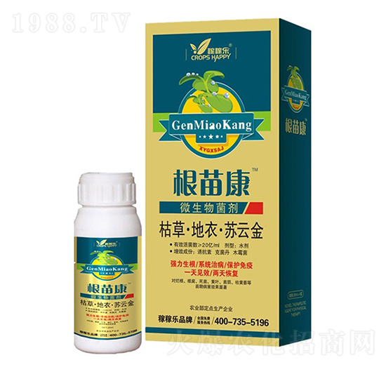 ΢�������-���翵-�ڼژ�