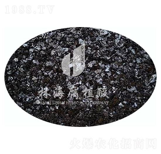 �S�СƬ-�ֺ���ֲ��