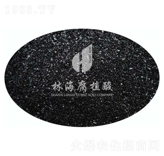 �S�С�w��-�ֺ���ֲ��