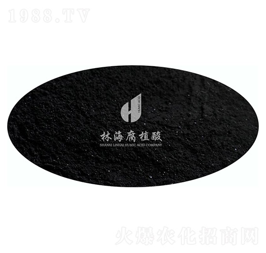 ���Ƹ�ֲ��-�ֺ���ֲ��