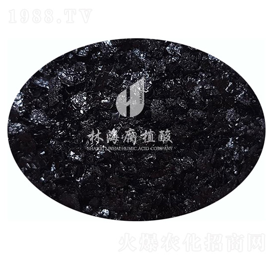 ��ˮ�ܸ�ֲ���-�ֺ���ֲ��