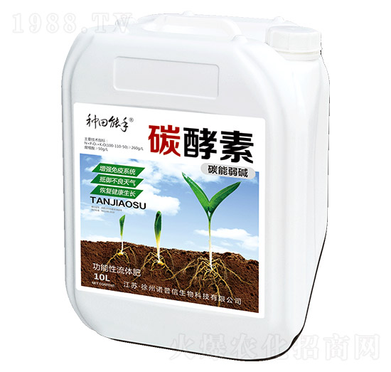 ̼����-�Z����