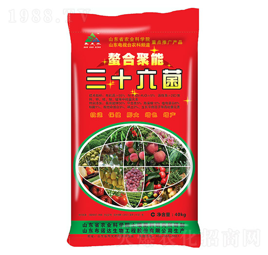 ���Ͼ�����ʮ����-���Z�_(d��)