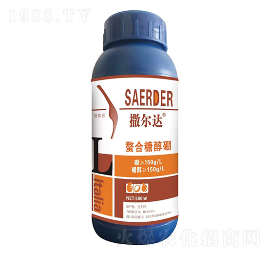 �����Ǵ���-�����_(d��)-��(y��u)�ݿ�