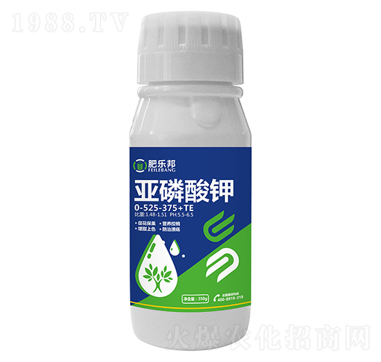 �������0-525-375+TE-�ʘ�(l��)��-�׶���