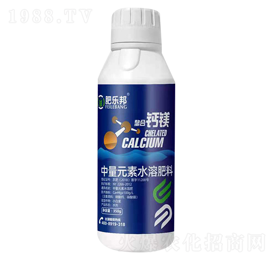 �����}�V-�ʘ���-�׶���