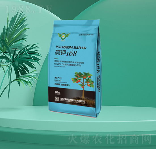 ���168-�㶦����