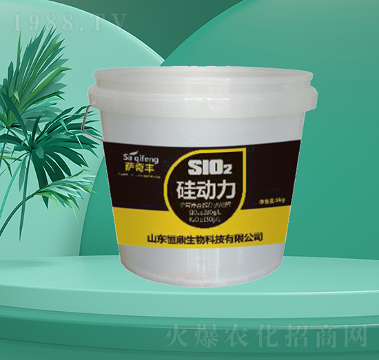 �����-�㶦����