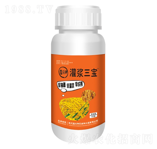 ���{����-��Ԫ�-ʢ������