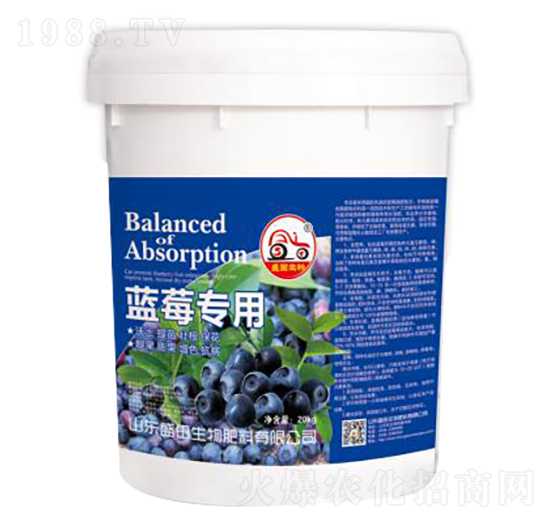 �{ݮ���üך���-ʢ������