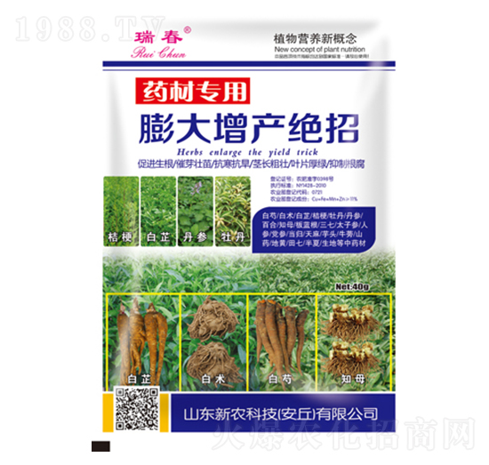 ˎ�Č���������^��-��-���r