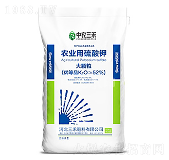 ���w���r(n��ng)�I(y��)�������-���r(n��ng)����