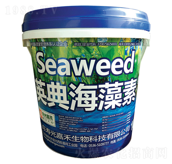 Ӣ�亣���أ�Ͱ��-�۹�κ�