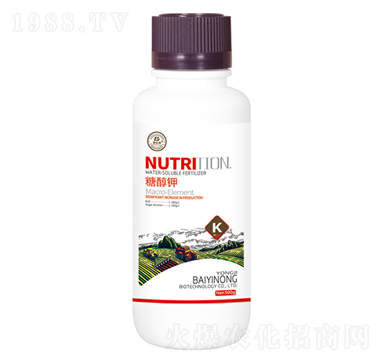 �Ǵ��-�ۃ|�r����