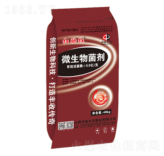 ΢�������-�tӳ�t-���}��