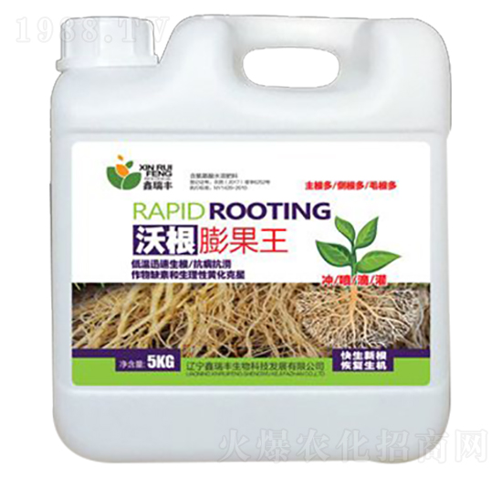 �ָ������-�����S