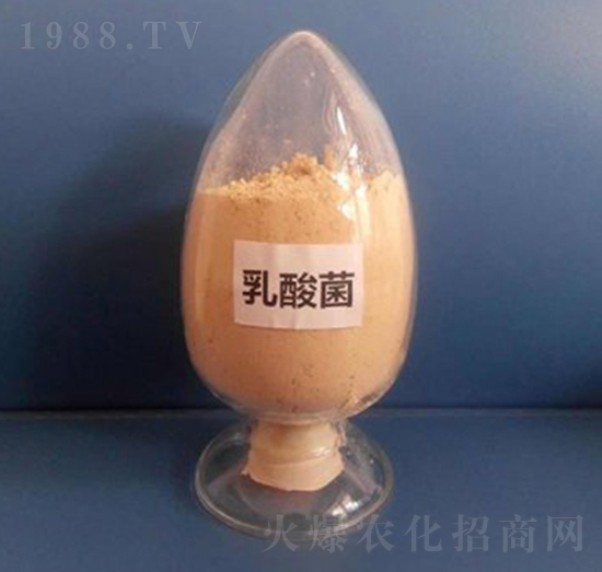 ��������ۄ���-��������