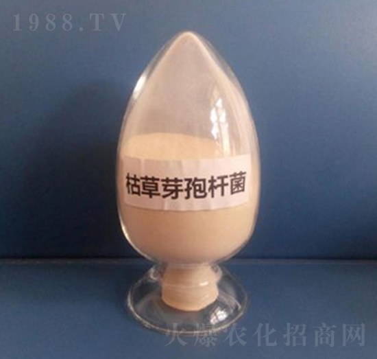 �ݲ�ѿ�ߗU����Һ�w��-��������