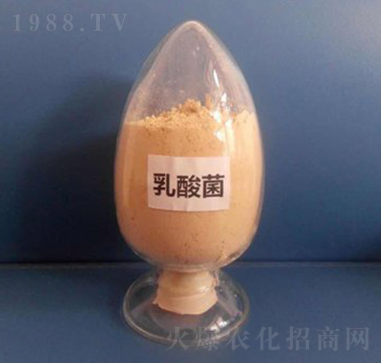 �������Һ�w��-��������