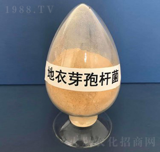 ����ѿ�ߗU����Һ�w��-��������