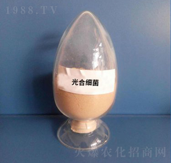 ��ϼ�����Һ�w��-��������