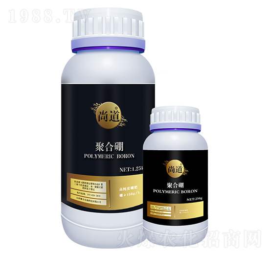 �ۺ���-�е�-���S����