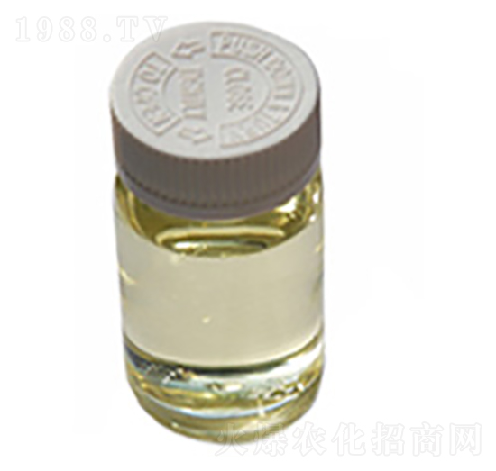 Һ�w���-ïʩ