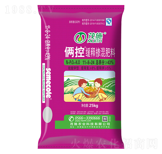 ��ጓ������11-8-24-�z��-ïʩ