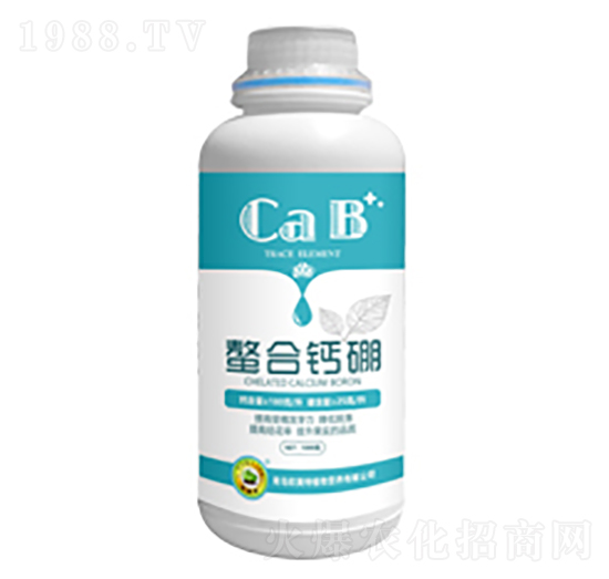 �����}��-�W����