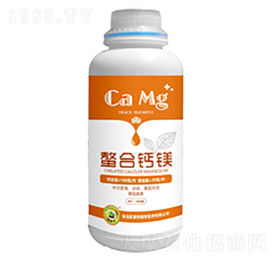 �����}�V-�W����