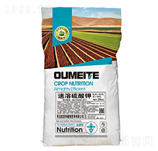 ���������-�W����