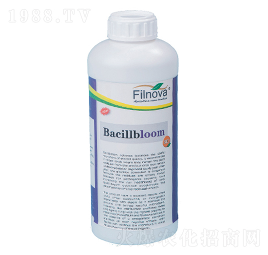 ������������B(y��ng)��-����ķ-�M(f��i)���Z