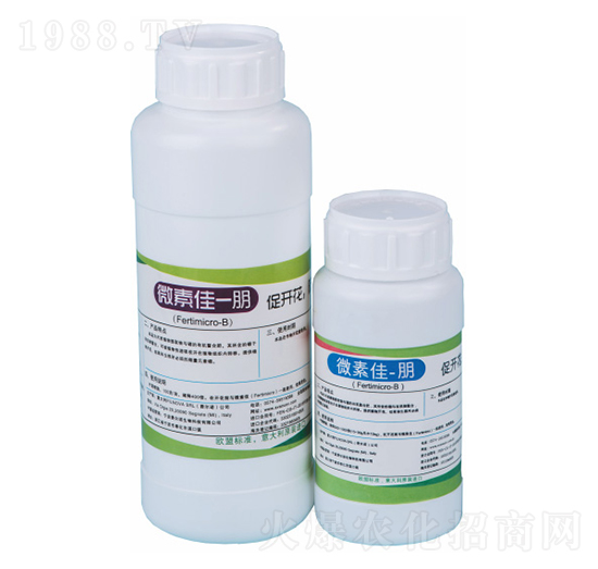 ΢�ؼ���-�M���Z