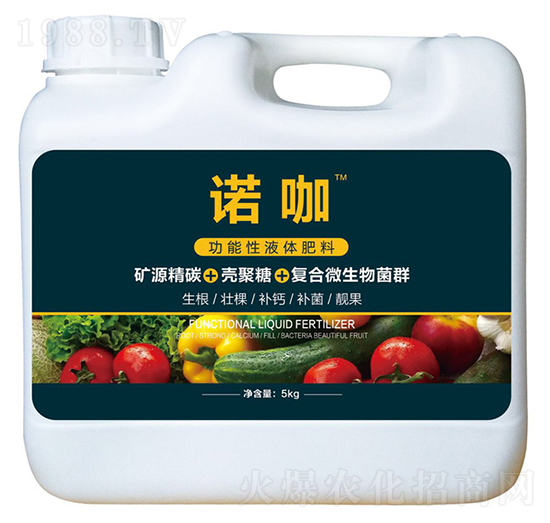 ������Һ�w����-�Z��-�T��