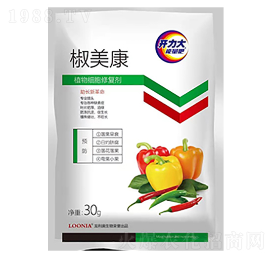 ֲ�：(x��)���ޏ�(f��)��-������-�����W