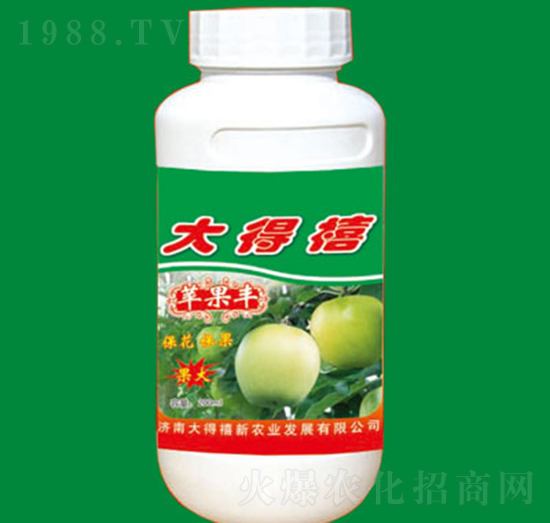 �O���S-�����