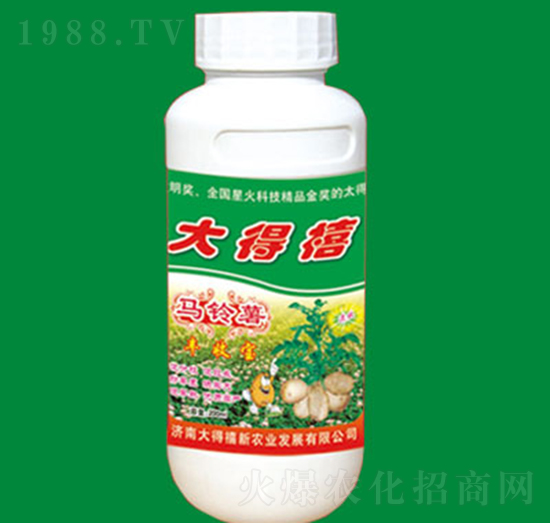 �R����S�Ռ�-�����