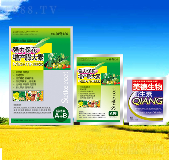 �������a(ch��n)�����-��������