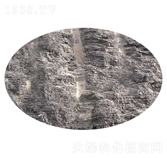 ��Ȼ��ֲ��ԭ��-��������