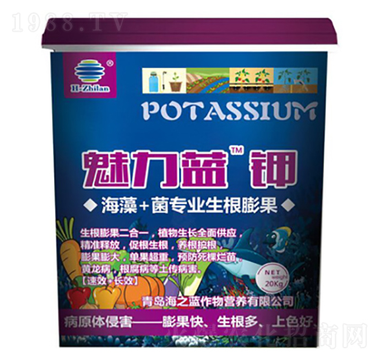 �����{�-��֮�{