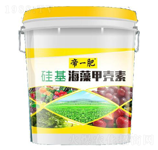 �������ך���-��һ��-�����