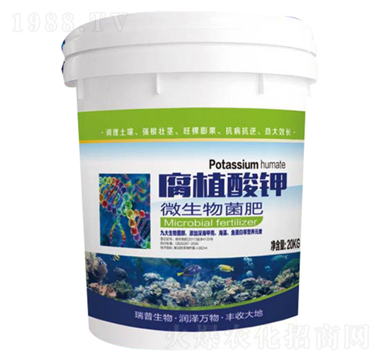 ��ֲ���΢�������-��������