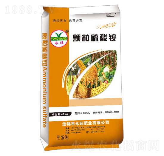 20.5%�w�������@-�����ʘI(y��)