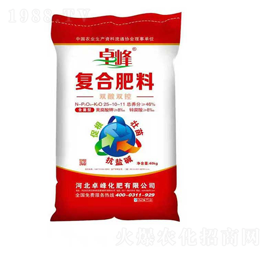 �p���p�؏ͺϷ���25-10-11-׿��