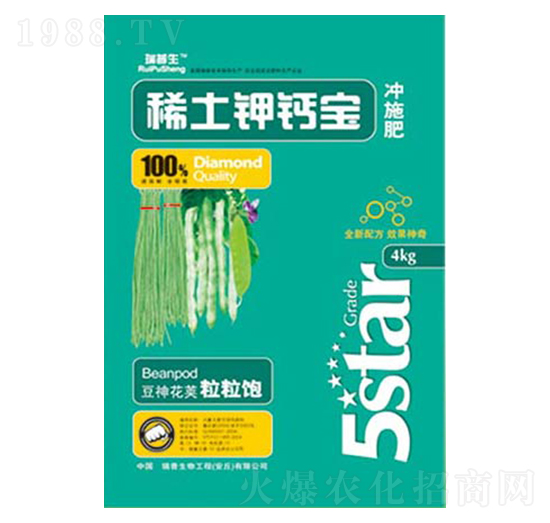 ϡ����}��-��������