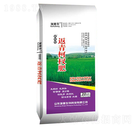 �����辷�-��������