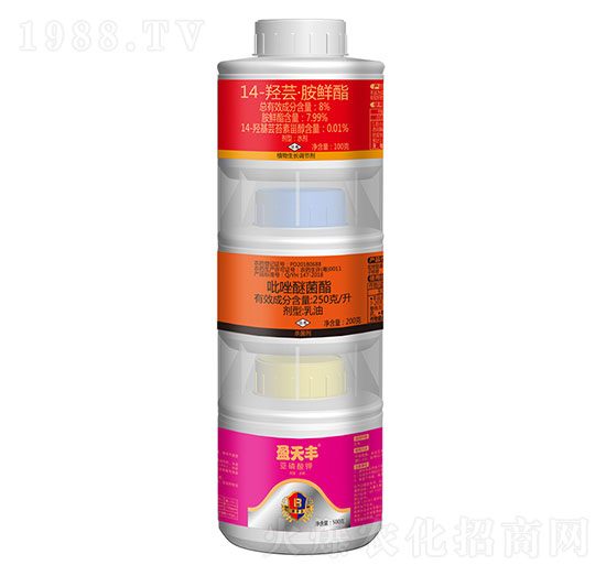 �������+�����Ѿ���+14-�u�|���r��-ӯ���S-ӯ�x