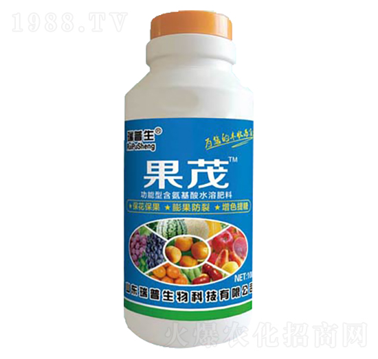 ��ï-��������