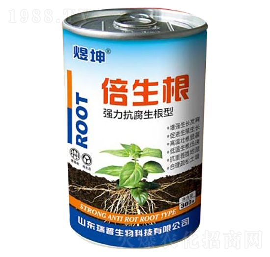 ��������������-������-��������